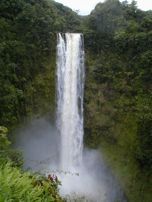 The Akaka Falls near Hilo